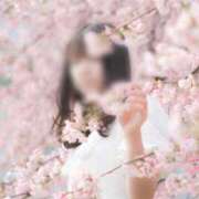 ヒメ日記 2026/03/12 17:02 投稿 おとは ダイスキ