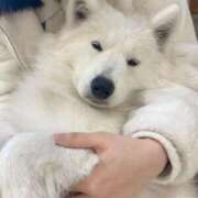 ヒメ日記 2026/03/14 15:03 投稿 おとは ダイスキ