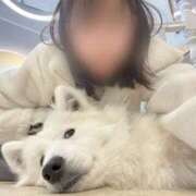 ヒメ日記 2026/03/16 20:31 投稿 おとは ダイスキ