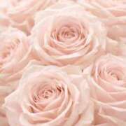 ヒメ日記 2026/03/18 17:09 投稿 おとは ダイスキ