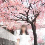 ヒメ日記 2026/03/31 12:00 投稿 おとは ダイスキ