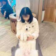 ヒメ日記 2026/04/02 17:00 投稿 おとは ダイスキ