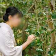 ヒメ日記 2026/04/05 12:00 投稿 おとは ダイスキ