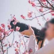 ヒメ日記 2026/04/10 08:00 投稿 おとは ダイスキ