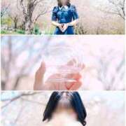 ヒメ日記 2026/04/10 12:02 投稿 おとは ダイスキ