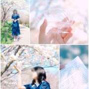 ヒメ日記 2026/04/11 21:00 投稿 おとは ダイスキ