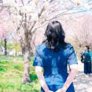 ヒメ日記 2026/04/18 12:21 投稿 おとは ダイスキ