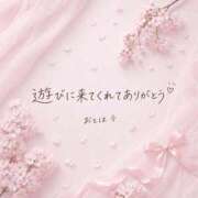 ヒメ日記 2026/04/24 12:13 投稿 おとは ダイスキ