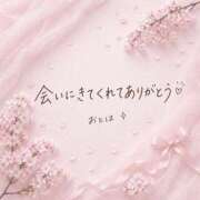 ヒメ日記 2026/04/24 22:14 投稿 おとは ダイスキ