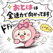 ヒメ日記 2026/04/27 19:23 投稿 おとは ダイスキ