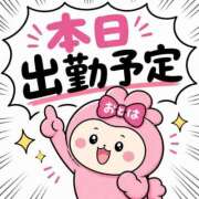 ヒメ日記 2026/04/30 08:00 投稿 おとは ダイスキ
