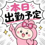 ヒメ日記 2026/05/01 08:00 投稿 おとは ダイスキ