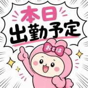 ヒメ日記 2026/05/02 08:00 投稿 おとは ダイスキ