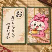 ヒメ日記 2026/09/24 12:02 投稿 おとは ダイスキ