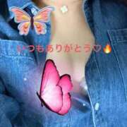 ヒメ日記 2026/03/28 18:25 投稿 すばる 熟女総本店 日本橋ミナミエリア店