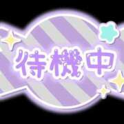 ヒメ日記 2026/03/07 13:32 投稿 桜井のあ ミセス大阪十三店