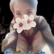 ヒメ日記 2026/03/06 16:16 投稿 安田かりん ミセスレディ