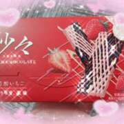 ヒメ日記 2026/03/06 21:16 投稿 安田かりん ミセスレディ