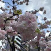 ヒメ日記 2026/04/24 20:12 投稿 なち 萌えカワ