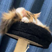 ヒメ日記 2026/03/06 11:47 投稿 芹沢 あなたに逢いたくて