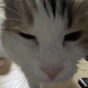 ヒメ日記 2026/04/03 09:21 投稿 芹沢 あなたに逢いたくて