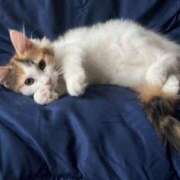 芹沢 出発❣️ あなたに逢いたくて