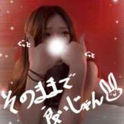 ヒメ日記 2026/04/08 11:15 投稿 ニコ バニーコレクション新潟店