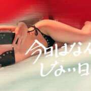 ヒメ日記 2026/04/10 14:20 投稿 ニコ バニーコレクション新潟店