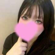 ヒメ日記 2026/09/20 08:04 投稿 みやび 白いぽっちゃりさん
