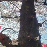 ヒメ日記 2026/04/04 12:38 投稿 倉科まゆ 渋谷エオス