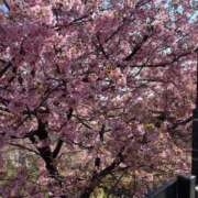 ヒメ日記 2026/02/23 17:18 投稿 春奈みりな 恋する妻たち