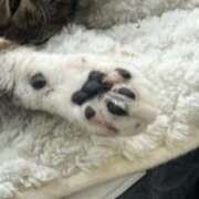 ヒメ日記 2026/03/03 08:33 投稿 業界未経験新人みなみ 奥様メモリアル