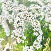 ヒメ日記 2026/04/11 11:03 投稿 業界未経験新人みなみ 奥様メモリアル