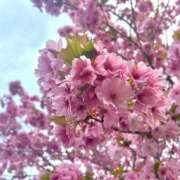 ヒメ日記 2026/04/19 07:48 投稿 業界未経験新人みなみ 奥様メモリアル