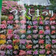 ヒメ日記 2026/03/18 21:47 投稿 吉永　幸子 東京ローズマリー