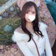 星乃 いちか お久しぶりです🐰🌟 Canx2 谷九日本橋店