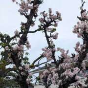 ヒメ日記 2026/02/28 18:20 投稿 真弓 クラブルージュ