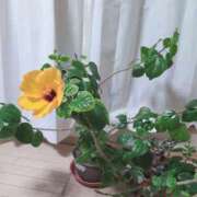 ヒメ日記 2026/03/03 18:10 投稿 真弓 クラブルージュ