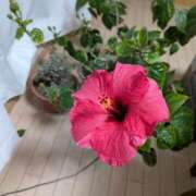 ヒメ日記 2026/03/11 17:20 投稿 真弓 クラブルージュ