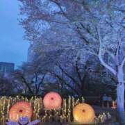 ヒメ日記 2026/04/07 18:50 投稿 真弓 クラブルージュ