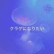 ヒメ日記 2026/03/12 08:12 投稿 えむ 渋谷ちゃんこ