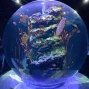 ヒメ日記 2026/03/27 07:52 投稿 えむ 渋谷ちゃんこ