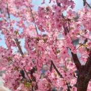 ヒメ日記 2026/03/28 21:12 投稿 えむ 渋谷ちゃんこ