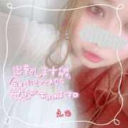 ヒメ日記 2026/04/08 14:12 投稿 えむ 渋谷ちゃんこ