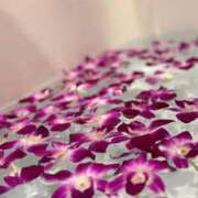 ヒメ日記 2026/04/11 21:02 投稿 えむ 渋谷ちゃんこ