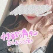ヒメ日記 2026/05/23 13:12 投稿 えむ 渋谷ちゃんこ