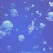 ヒメ日記 2026/07/06 16:02 投稿 えむ 渋谷ちゃんこ