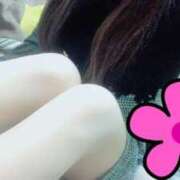 ヒメ日記 2026/02/24 07:49 投稿 前田あつみ 鶯谷デッドボール