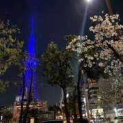 ヒメ日記 2026/04/03 19:25 投稿 まりな おいらん遊郭