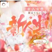 ヒメ日記 2026/04/08 11:20 投稿 まりな おいらん遊郭